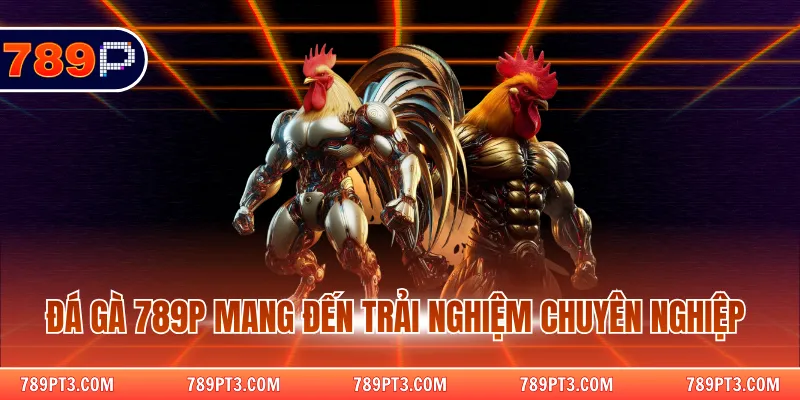 Đá gà 789P mang đến trải nghiệm chuyên nghiệp